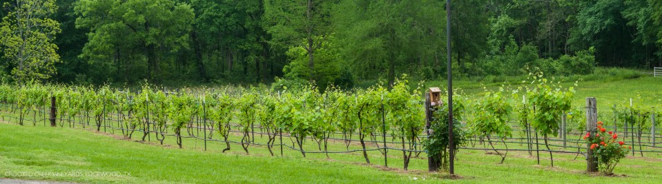 CCV-160425-164_0026-Edit