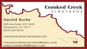 CCV Business Card
