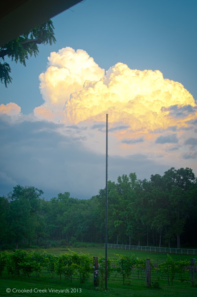 Clouds over the Crooked Creek Vineyards, May 2013